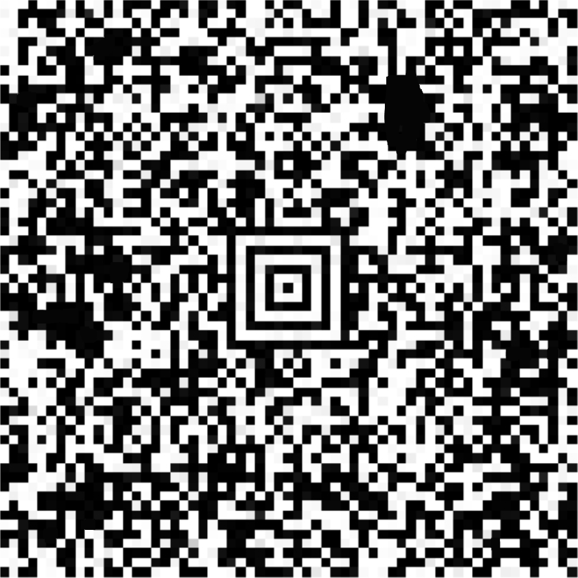 Przykładowy kod Aztec z biletu Kolei Dolnośląskich